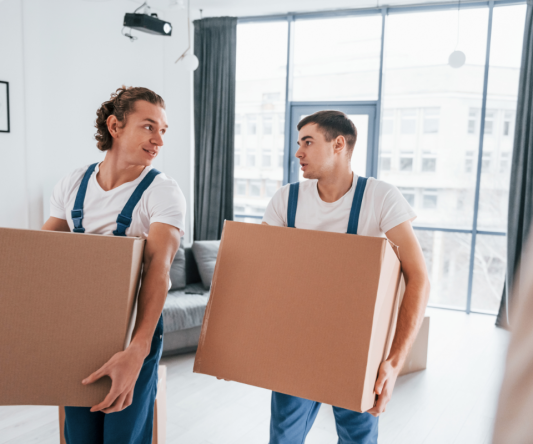 Two men wearing overalls and white t-shirts carry large cardboard boxes inside a bright, modern living room—showcasing the expertise of Long Distance Movers Chicago. Floor-to-ceiling windows with sheer curtains complete the airy space.